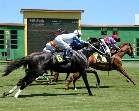 twinspires carryovers|TwinSpires Blog: CARRYOVER! Why racing leads the way in .